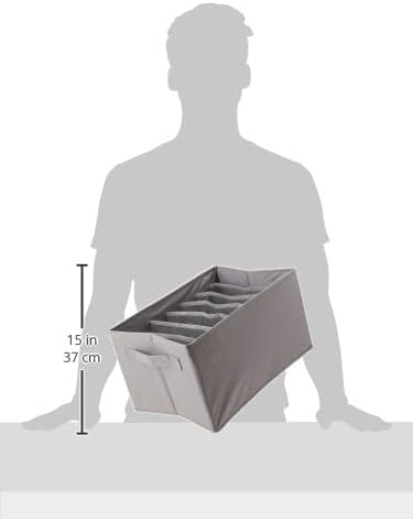 Amazon Basics Underwear Dresser Drawer Organizers, Gray | Pack of 2