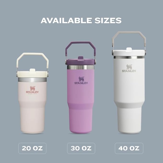 Stanley IceFlow Flip Straw Tumbler with Handle 20 oz | Twist On Lid and Flip Up Straw | Leak Resistant Water Bottle | Insulated Stainless Steel |BPA-Free | Tigerlily Plum