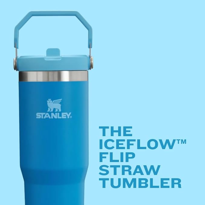 STANLEY IceFlow 2.0 Flip Straw Tumbler with Handle 20 oz | Twist On Lid and Flip Up Straw | Leak Resistant Water Bottle | Insulated Stainless Steel | BPA-Free | Frost