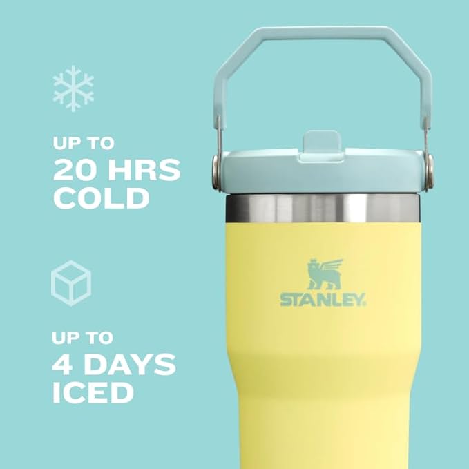 STANLEY IceFlow 2.0 Flip Straw Tumbler with Handle 30 oz | Twist On Lid and Flip Up Straw | Leakproof Water Bottle | Insulated Stainless Steel | BPA-Free | Dried Pine