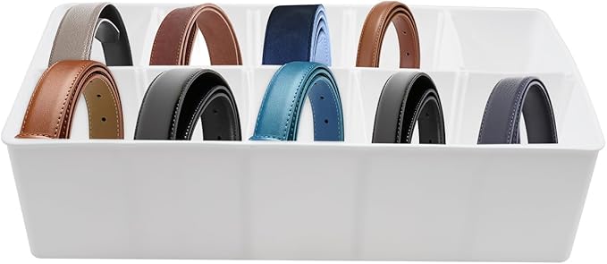 Plastic Belt Organizer, 10 Compartments Drawer Storage, Ties Holder Box with Removable Dividers, Organizers for Socks Bow Ties, for Closet and Drawer
