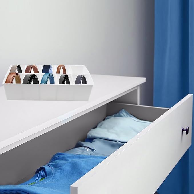 Plastic Belt Organizer, 10 Compartments Drawer Storage, Ties Holder Box with Removable Dividers, Organizers for Socks Bow Ties, for Closet and Drawer