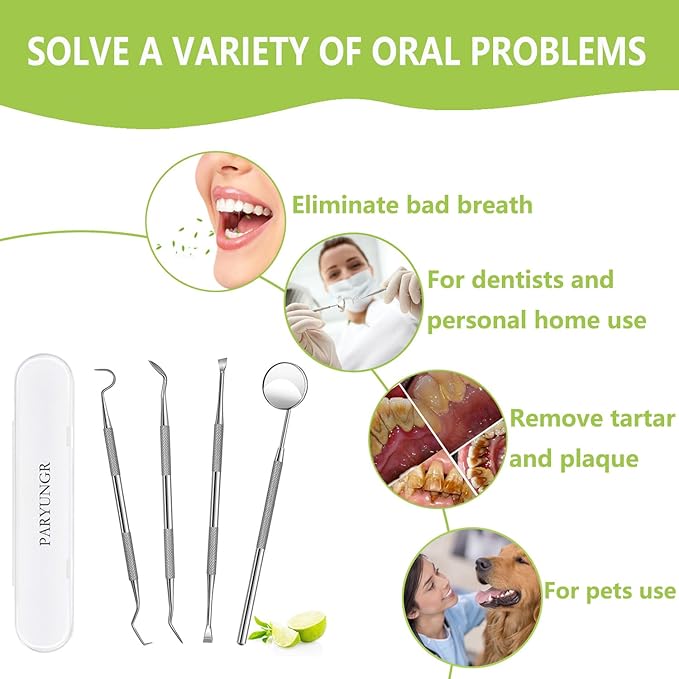 Dental Tools, Professional Teeth Cleaning Oral Care Hygiene Kit, Stainless Steel Dental Pick Tooth Scraper Tartar Plaque Remover for Dentist, Personal, Pet Use with Storage Box