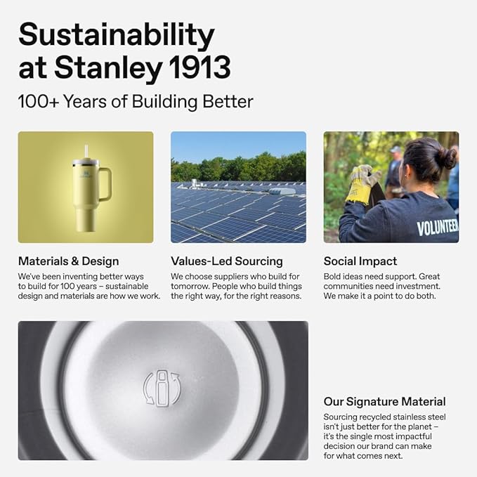 STANLEY Quencher H2.0 Tumbler with Handle and Straw 30 oz | Flowstate 3-Position Lid | Cup Holder Compatible for Travel | Insulated Stainless Steel Cup | BPA-Free | Ash