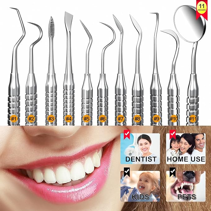 Dental Tools, Dental Pick for Teeth Cleaning, Stainless Steel Hygiene Kit with Tooth Scraper Plaque Tartar Remover - with Case