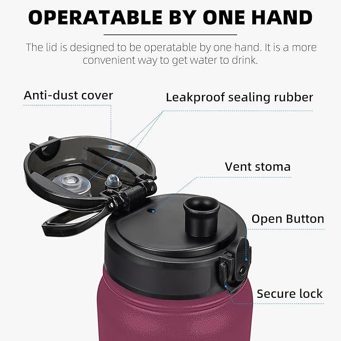 Fanhaw 20 oz Insulated Stainless Steel Water Bottle with Anti-Dust Chug Lid, Leakproof Vacuum Metal Bottle for Kids, Women & Men (Red Black)
