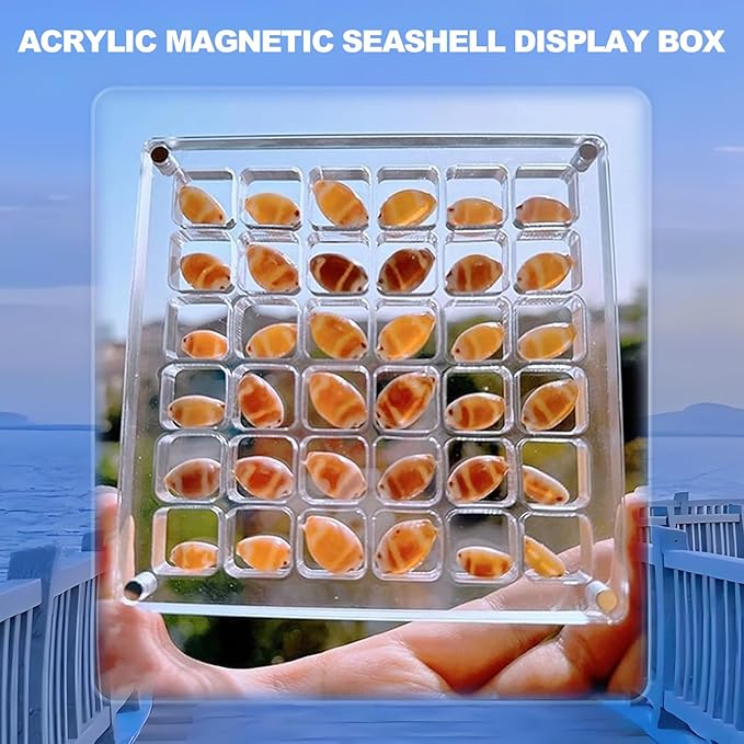 Acrylic Magnetic Seashell Display Box, Seashell Storage Box Display Case Decorative Seashell Starfish Trinket, Small Craft Organizers Container for Bead, Nail, Jewelry, Square-36 Grid