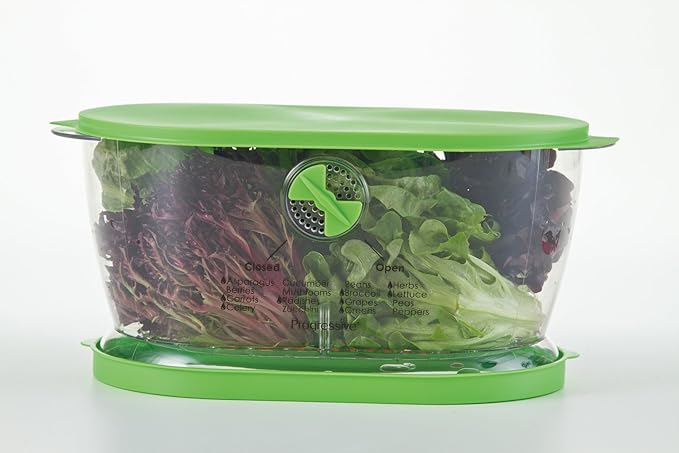 Prep Solutions by Progressive Lettuce Keeper Produce Storage Container,4.7 Quarts,Green (LKS-06),(Pack of 3)