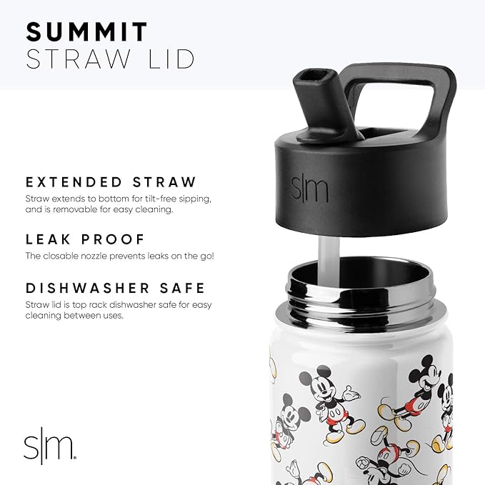 Simple Modern Kids Summit Water Bottle with Straw Lid | Disney Wish 14oz Stainless Steel Cup Insulated Tumbler for Girls, School | Asha's Adventure