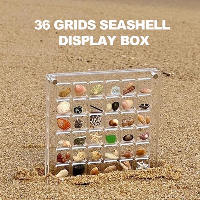 Acrylic Magnetic Seashell Display Box, Seashell Storage Box Display Case Decorative Seashell Starfish Trinket, Small Craft Organizers Container for Bead, Nail, Jewelry, Square-36 Grid