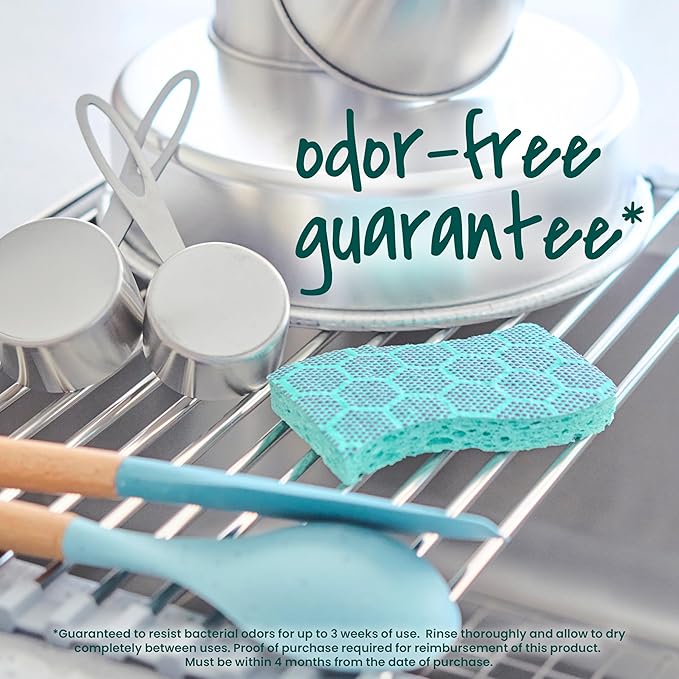 Scotch-Brite Odor Resist Heavy Duty Scrub Sponge,Dishwasher-Safe Kitchen sponges for Serious Scrubbing,Multipurpose Dish Sponge for Stuck-On Messes,6 Scrubbing Sponges,(Pack of 4)