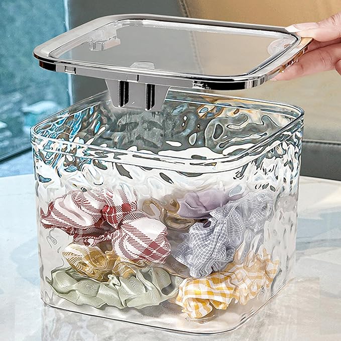 Chic Transparent Hair Accessory Organizer,Portable Flip-Top Hair Tie Organizer,Vanity Container (Transparent,M)