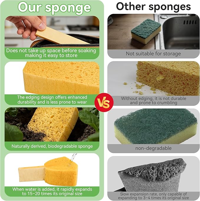 LILAC 6 Pcs Deep Cleaning Set: 2 Pack Stiff-Bristle Crevice Cleaning Brushes & 4 Pack Compressed Natural Cellulose Sponges, Gap Cleaner Scrubber Tool for Window Tracks, Tile, Kitchen, Bathroom